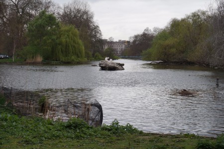 Un héron.... mais surtout Bickingham en fond