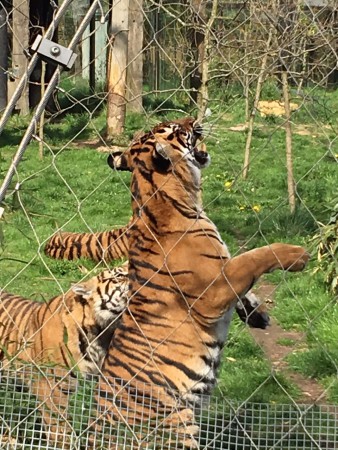 J'aime tellement cette photo!